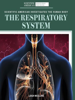 cover image of The Respiratory System